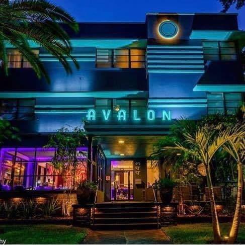 Avalon Hotel Downtown São Petersburgo Exterior foto